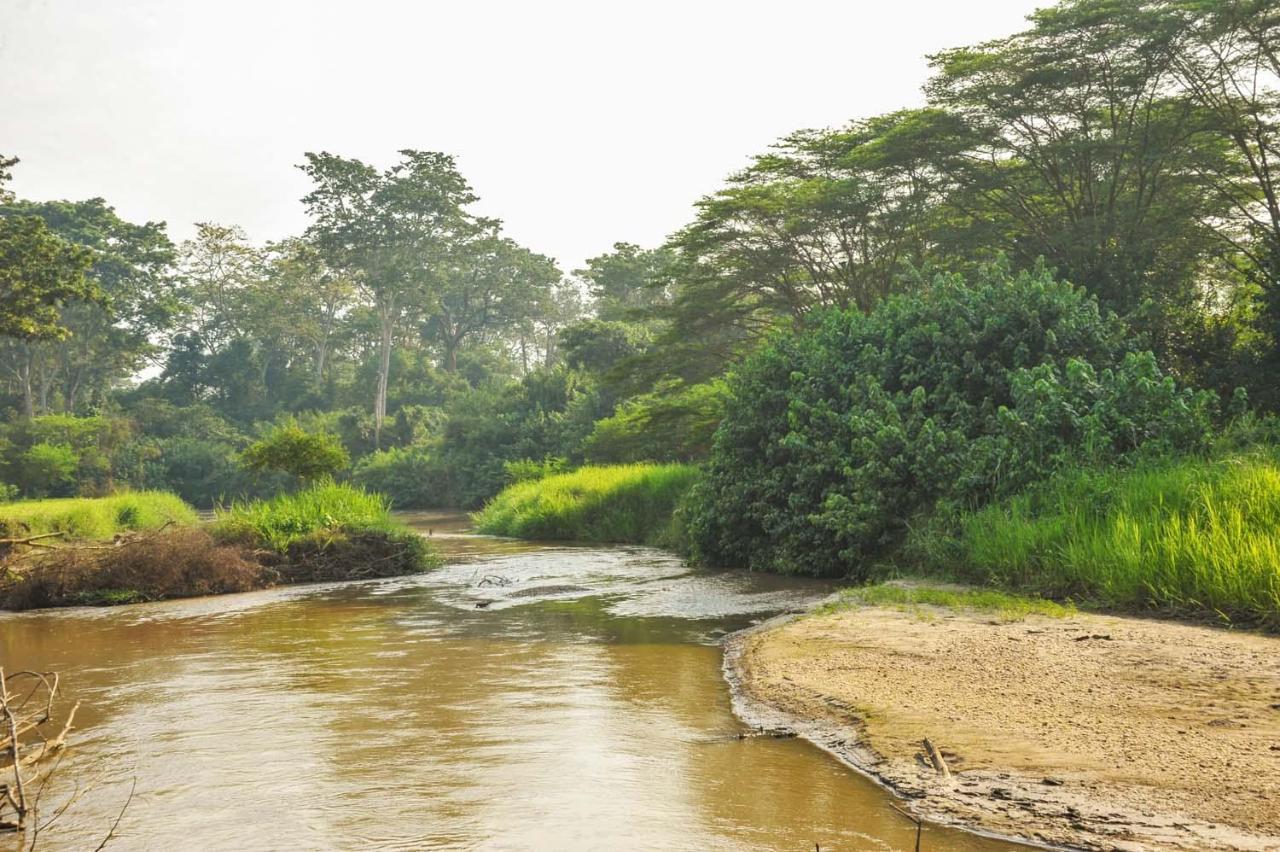 Bullbush River Camp Kihihi ภายนอก รูปภาพ